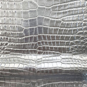 CAIMAN FOL.PLATA ESPEJO PLATA