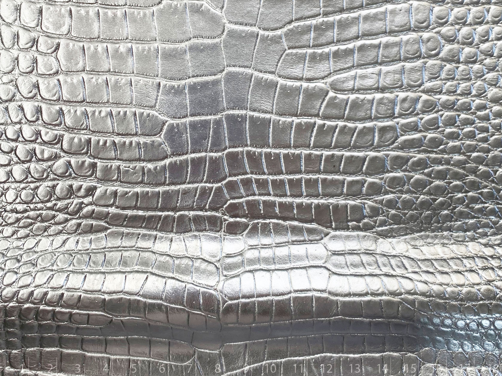 CAIMAN FOL.PLATA ESPEJO PLATA