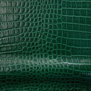 CAIMAN LUX VERDE EDEN