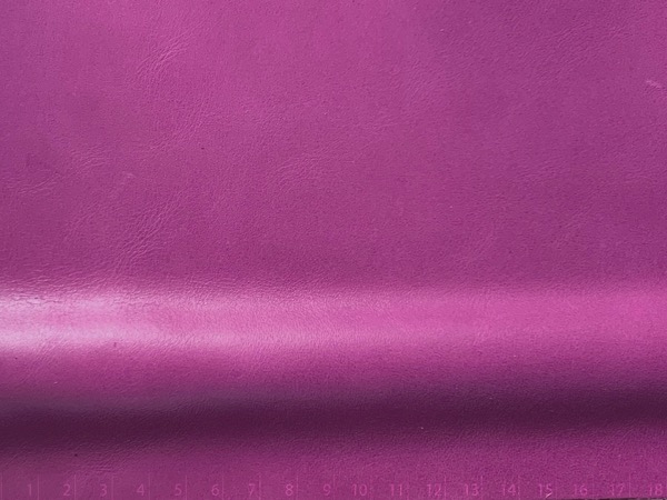 NEW WAXY FUCSIA B - Imagen 2