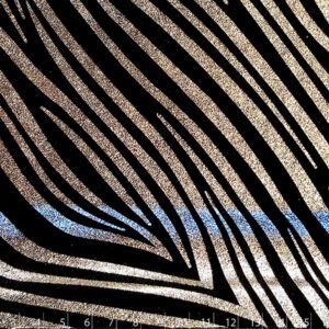 DFO.125/NIQUEL NEGRO