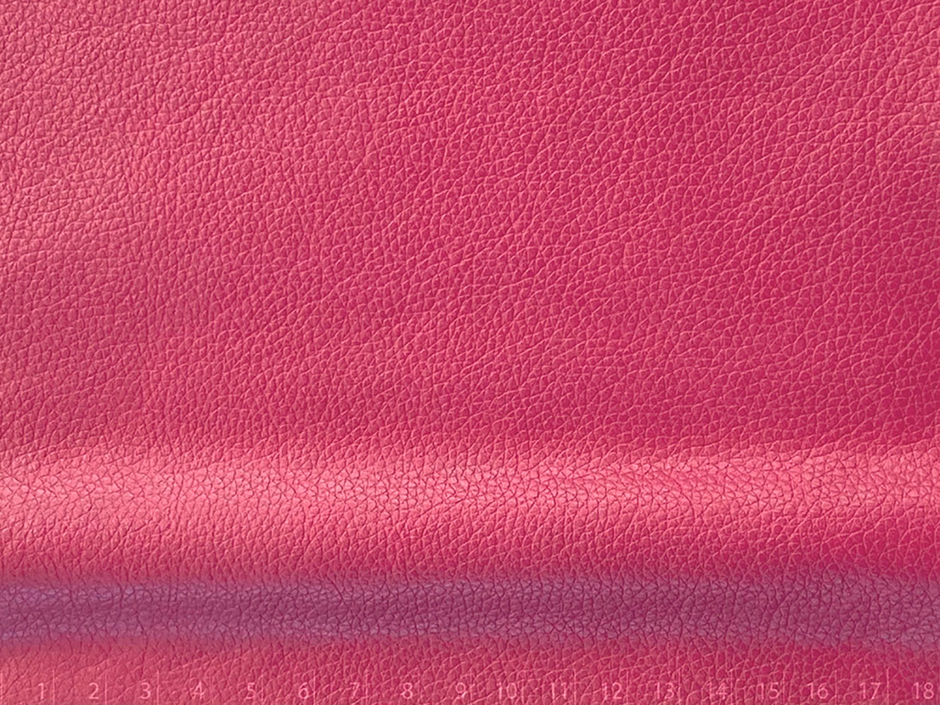 RONDINE SANTA FE FUCSIA