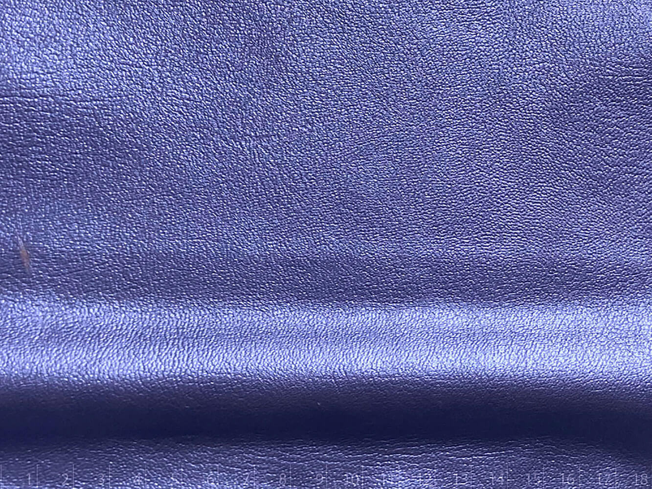 ARIZONA FOL.LILA LILA