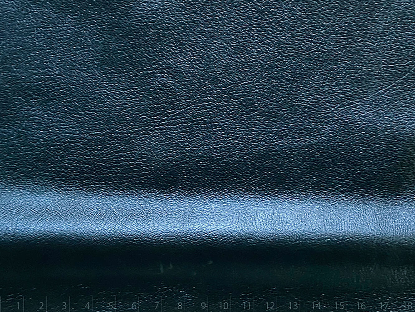 ARIZONA FOL.OTTANIO OTTANIO