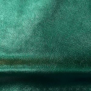 ARIZONA FOL.FORESTA VERDE EDEN