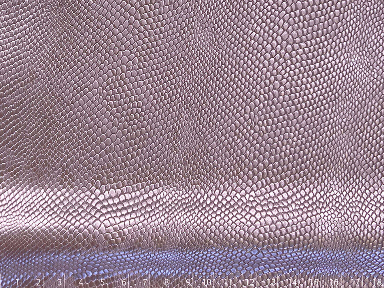 CASCABEL FOL.61 REAL ROSADO