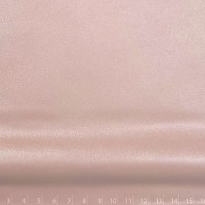 NAPA FORD NACAR ROSA