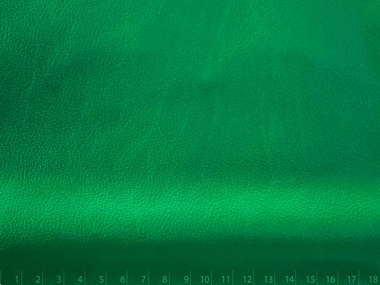 NAPA SIENA VERDE CLASICO