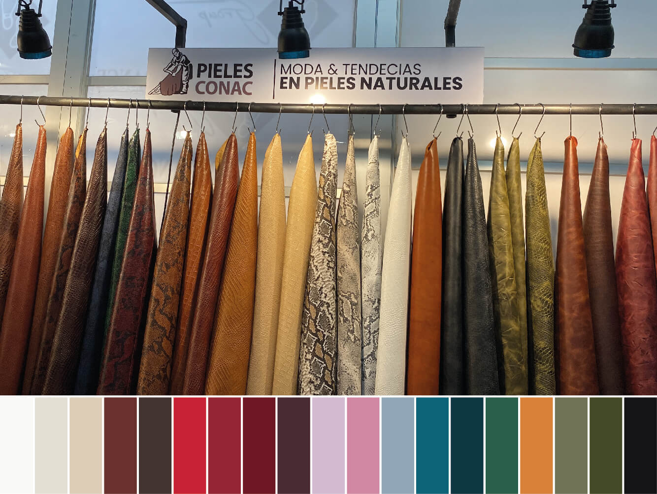 Pantone portada general 02