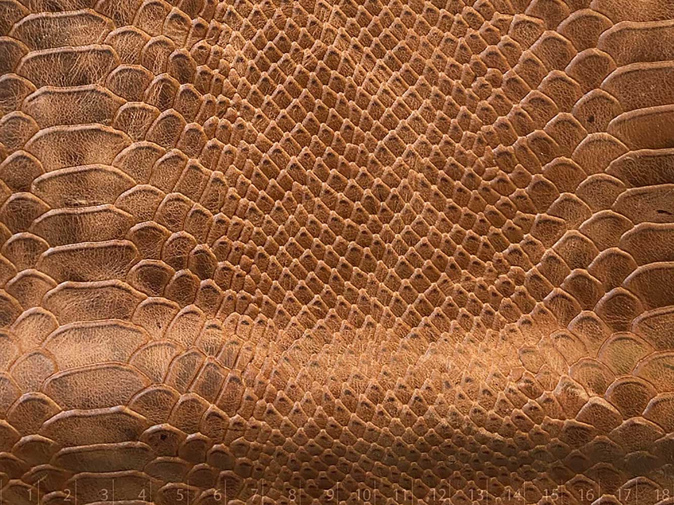 ANACONDA LUX WILD TOSTADO