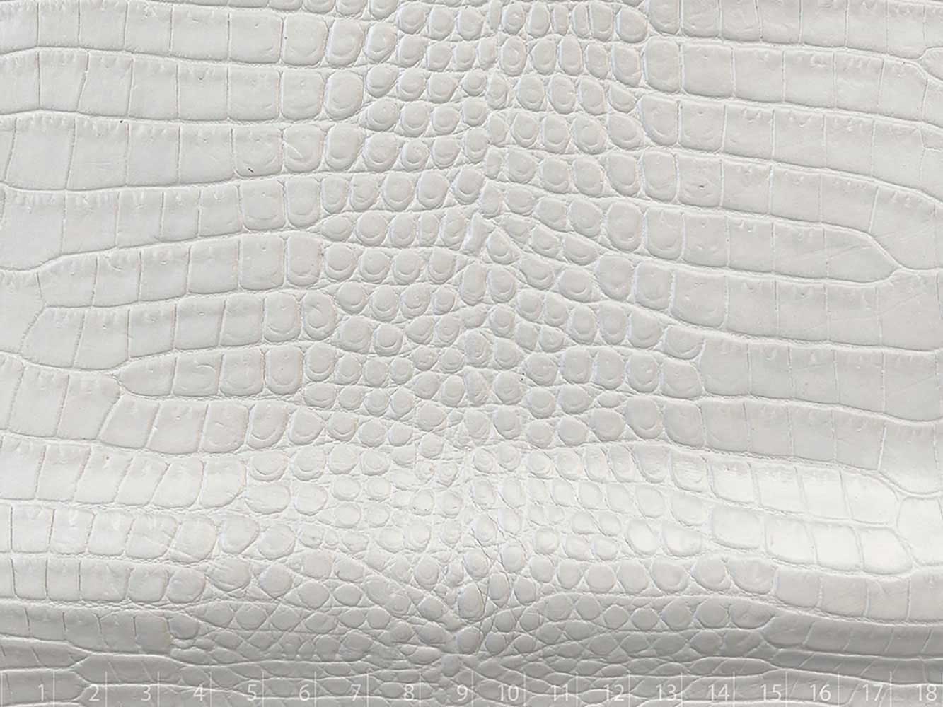 CAIMAN BRILLO BLANCO