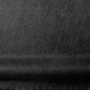 ARIZONA BRILLO LIGHT NEGRO