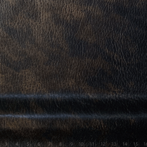 SALVAJE AGRESTE FOL.BRONCE NEGRO