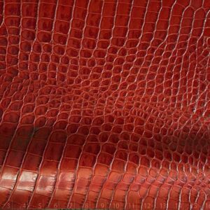 CAIMAN BRILLO ROJO INVIERNO