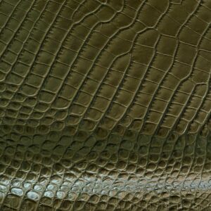 CAIMAN BRILLO VERDE VIEJO