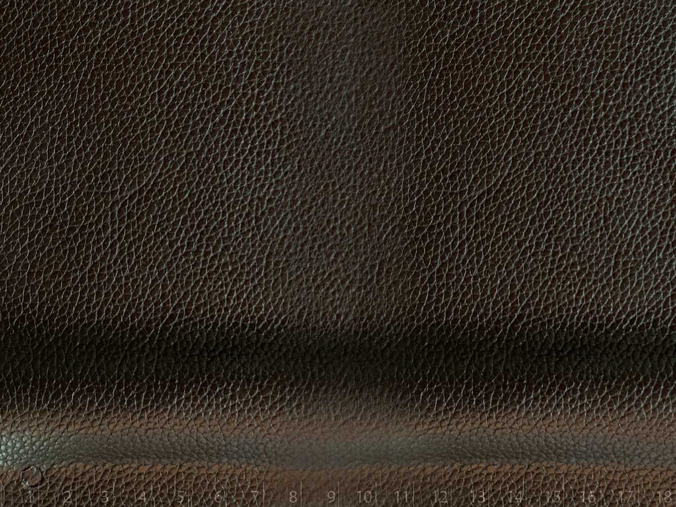 RONDINE SANTA FE MORO