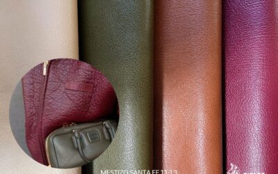 OTOÑO INVIERNO 25-26, REGENERACIONES