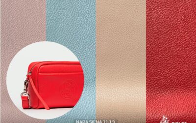 OTOÑO INVIERNO 25-26, EQUILIBRADOS