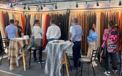 COLECCIÓN OTOÑO INVIERNO 25-26